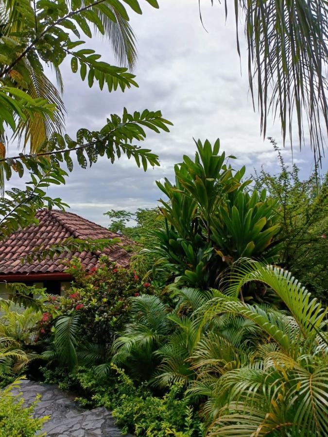 Finca Los Caballos Монтесума Экстерьер фото