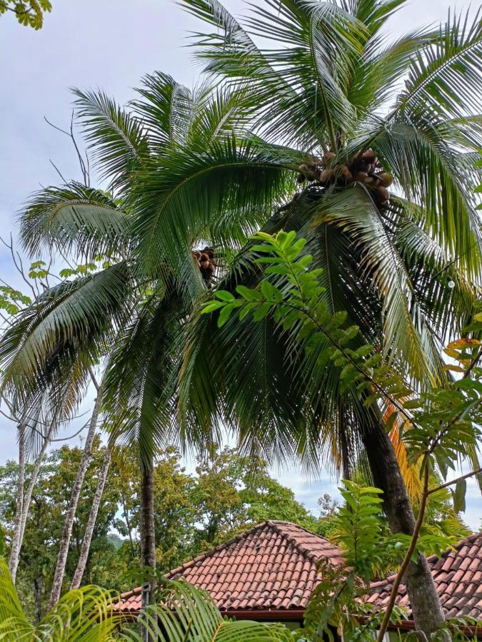 Finca Los Caballos Монтесума Экстерьер фото