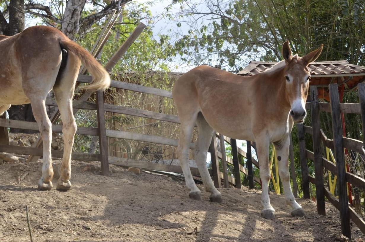 Finca Los Caballos Монтесума Экстерьер фото