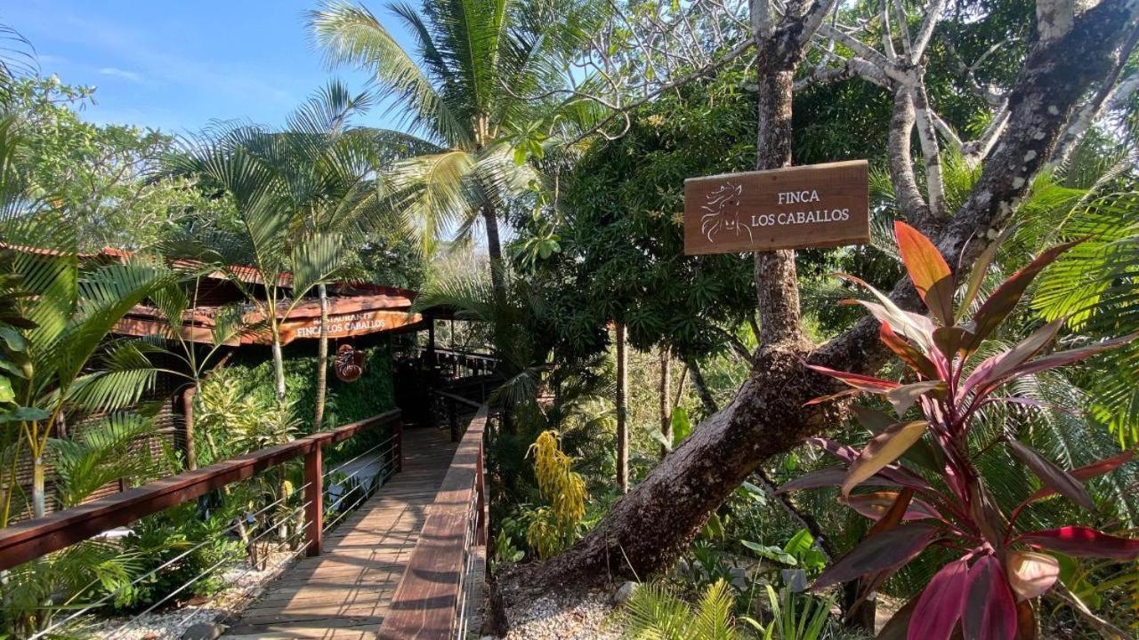 Finca Los Caballos Монтесума Экстерьер фото