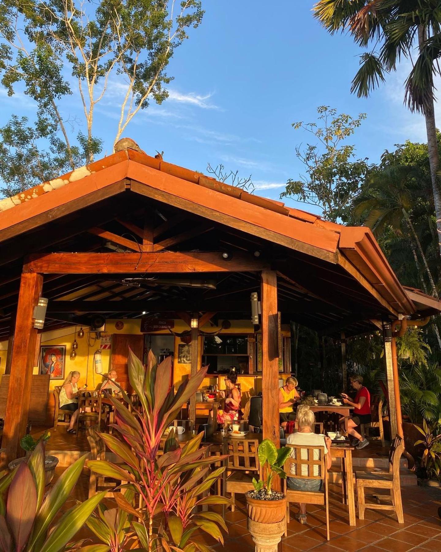 Finca Los Caballos Монтесума Экстерьер фото