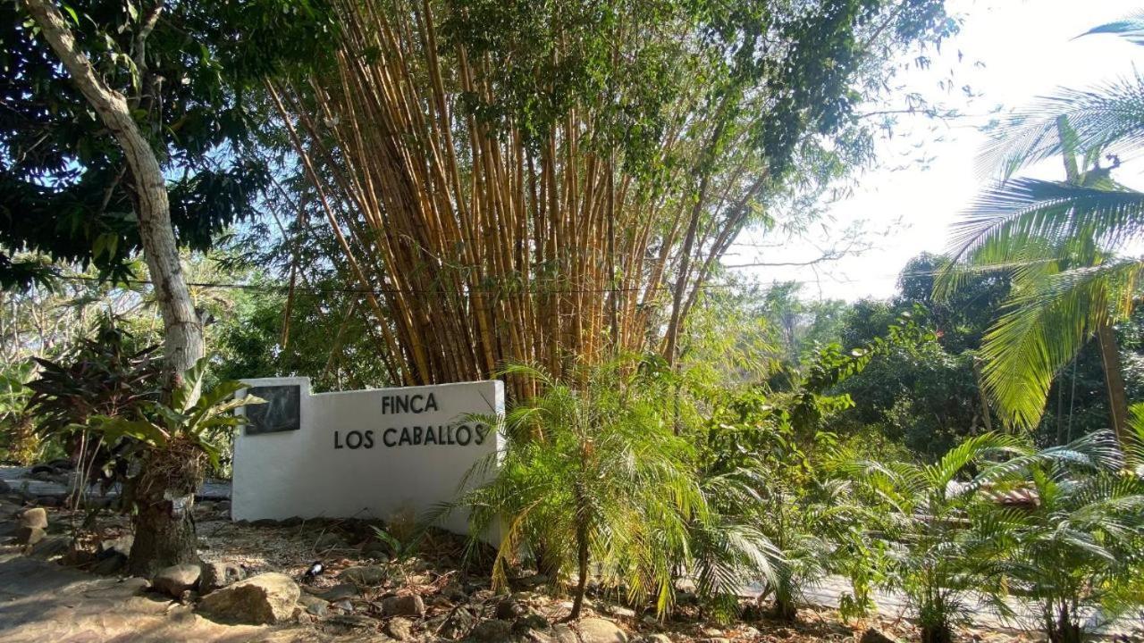Finca Los Caballos Монтесума Экстерьер фото